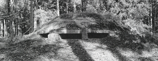 sakans113BorgvikKGHattlagKu_558.gif